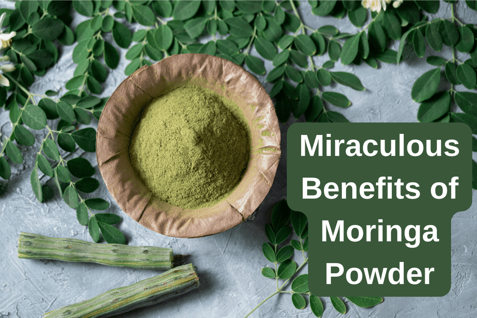 7 Miraculous Benefits of Moringa Powder - Girveda