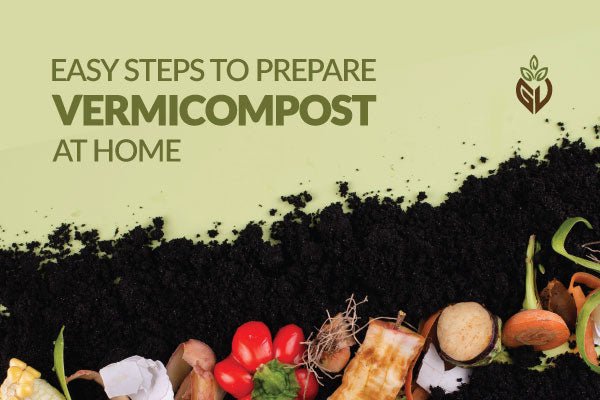 Easy Steps to Prepare Vermicompost at Home - Girveda