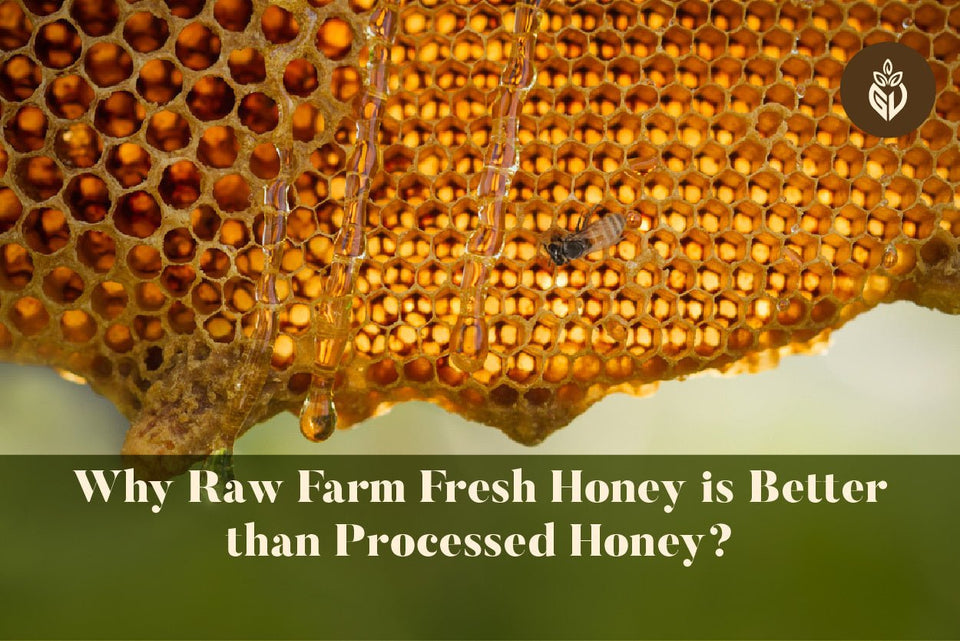 Why Raw Farm Fresh Honey is Better than Processed Honey? - Girveda